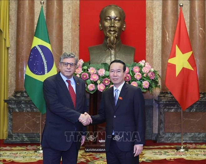 Presidente de Vietnam recibe credenciales de nuevos embajadores ảnh 2 Presidente de Vietnam recibe credenciales de nuevos embajadores ảnh 2