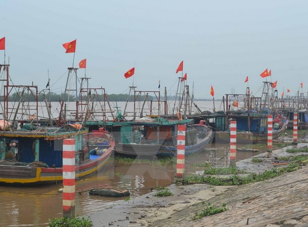 Premier instruye reforzar medidas preventivas ante tifón Dianm ảnh 1 Premier instruye reforzar medidas preventivas ante tifón Dianm ảnh 1