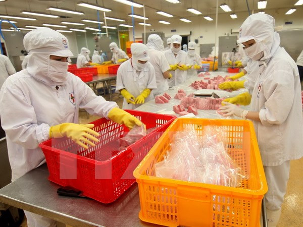 Provincia de An Giang prevé lograr 820 millones de dólares en exportaciones ảnh 1 Provincia de An Giang prevé lograr 820 millones de dólares en exportaciones ảnh 1