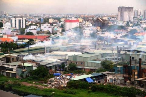 Ciudad Ho Chi Minh desplazará 10 mil plantas en zonas no planificadas ảnh 1 Ciudad Ho Chi Minh desplazará 10 mil plantas en zonas no planificadas ảnh 1