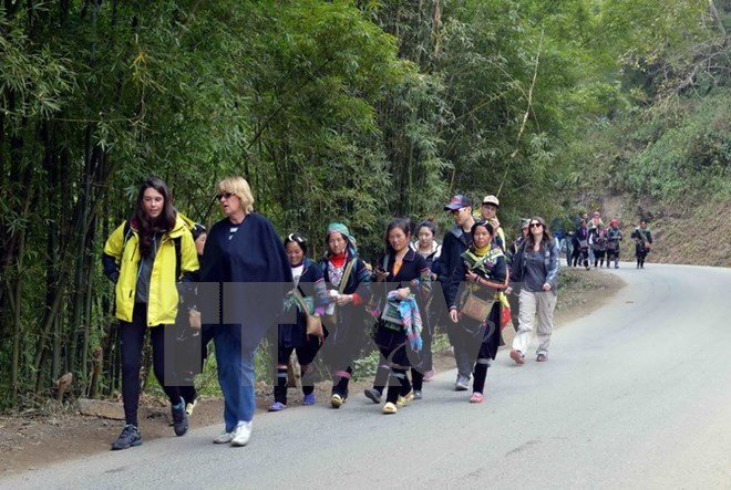 Registran aumento de visitantes al pueblo vietnamita de Sa Pa en Año Nuevo ảnh 1 Registran aumento de visitantes al pueblo vietnamita de Sa Pa en Año Nuevo ảnh 1