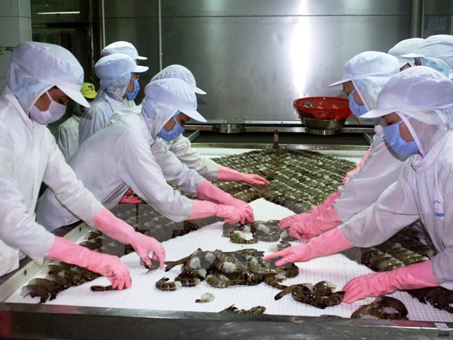 UE apoya el desarrollo de cadenas de valor de camarones en Vietnam ảnh 1 UE apoya el desarrollo de cadenas de valor de camarones en Vietnam ảnh 1