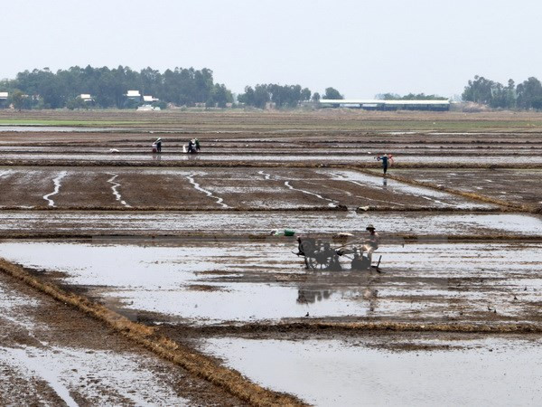 Vietnam promueve la cooperación en la Subregión del Mekong ảnh 1
