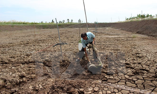 Vietnam y Japón juntan manos en adaptación al cambio climático ảnh 1 Vietnam y Japón juntan manos en adaptación al cambio climático ảnh 1