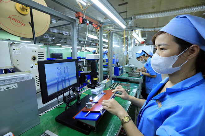 Vietnam por cumplir con estándares ecológicos para impulsar exportaciones a mercados exigentes ảnh 2 Vietnam por cumplir con estándares ecológicos para impulsar exportaciones a mercados exigentes ảnh 2
