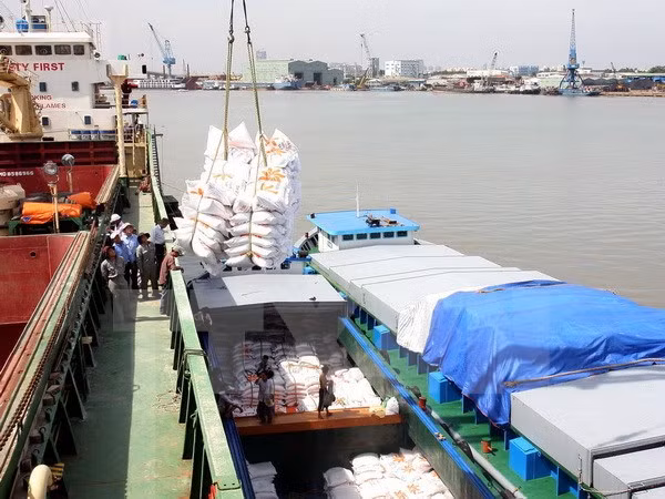 Vietnam exportará 450 mil toneladas de arroz a Filipinas ảnh 1 Vietnam exportará 450 mil toneladas de arroz a Filipinas ảnh 1