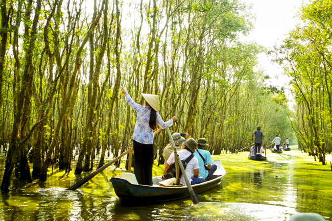 Ecoturismo- propulsor de la industria sin humo de Dong Thap ảnh 1 Ecoturismo- propulsor de la industria sin humo de Dong Thap ảnh 1