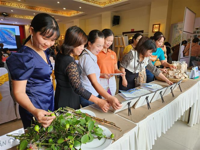 Afirman papel femenino en reducción de riesgos de desastres naturales basado en ecosistemas ảnh 1 Afirman papel femenino en reducción de riesgos de desastres naturales basado en ecosistemas ảnh 1