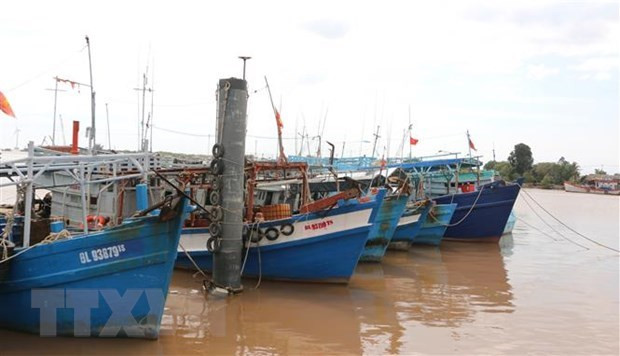 Provincia survietnamita de Kien Giang impulsa lucha contra pesca ilegal ảnh 1 Provincia survietnamita de Kien Giang impulsa lucha contra pesca ilegal ảnh 1