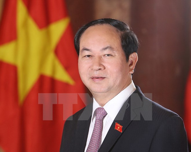 Presidente de Vietnam convoca a mantener la unidad nacional ảnh 1