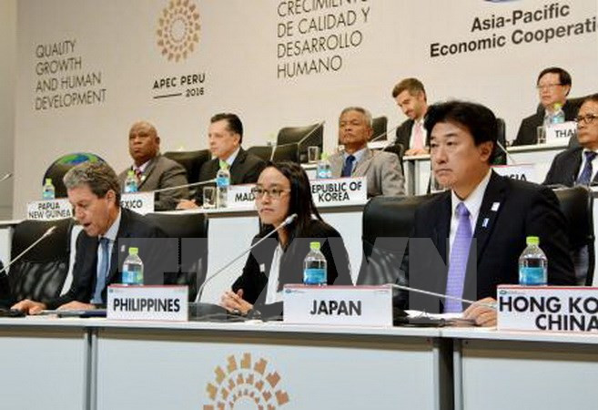 Inauguran en Perú semana de Cumbre de APEC ảnh 1 Inauguran en Perú semana de Cumbre de APEC ảnh 1