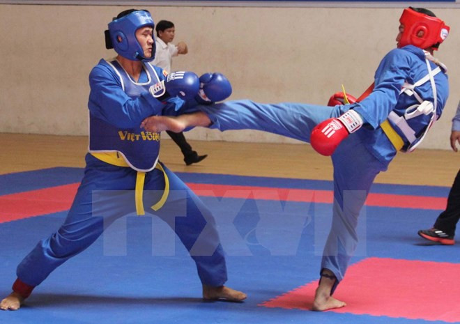 Inaugurado Sexto Festival de artes marciales de Vietnam ảnh 1 Inaugurado Sexto Festival de artes marciales de Vietnam ảnh 1