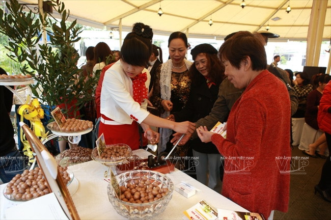 Devino cultivo de Macadamia en sector potencial de Vietnam ảnh 12 Devino cultivo de Macadamia en sector potencial de Vietnam ảnh 12