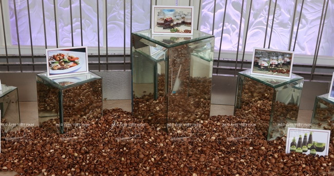 Devino cultivo de Macadamia en sector potencial de Vietnam ảnh 10 Devino cultivo de Macadamia en sector potencial de Vietnam ảnh 10