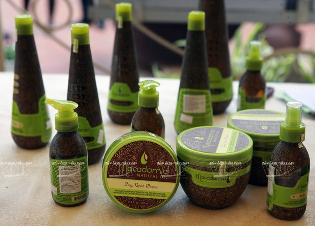 Devino cultivo de Macadamia en sector potencial de Vietnam ảnh 8 Devino cultivo de Macadamia en sector potencial de Vietnam ảnh 8