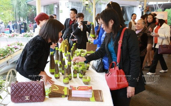 Devino cultivo de Macadamia en sector potencial de Vietnam ảnh 11 Devino cultivo de Macadamia en sector potencial de Vietnam ảnh 11