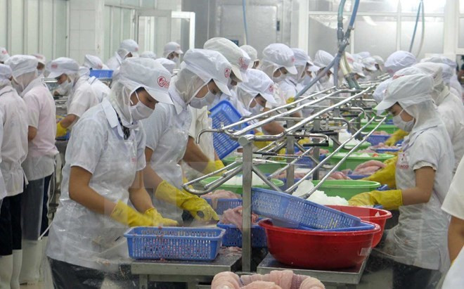 Vietnam busca promover exportación de mariscos a China ảnh 1 Vietnam busca promover exportación de mariscos a China ảnh 1