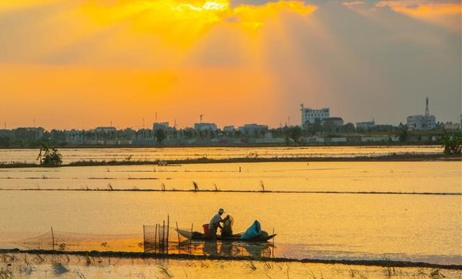 Despierta la motivación del desarrollo económico en Delta del Mekong ảnh 1 Despierta la motivación del desarrollo económico en Delta del Mekong ảnh 1