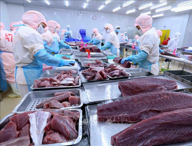 Comercio exterior de Vietnam podría alcanzar 750 mil millones de dólares en 2022, según experto ảnh 2
