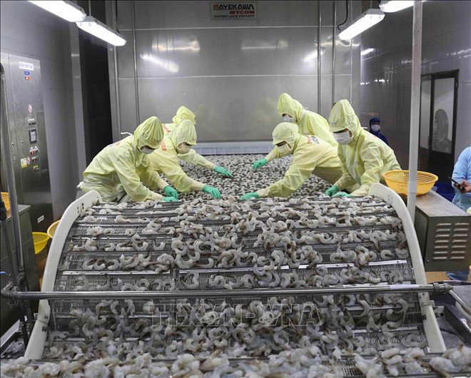 Exportaciones de mariscos de Vietnam en segundo trimestre pueden lograr récord de tres mil millones de dólares ảnh 2