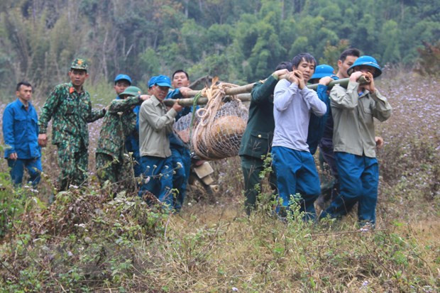 Desactivan con éxito una bomba de 600 kilogramos remanente de la guerra en Vietnam ảnh 1