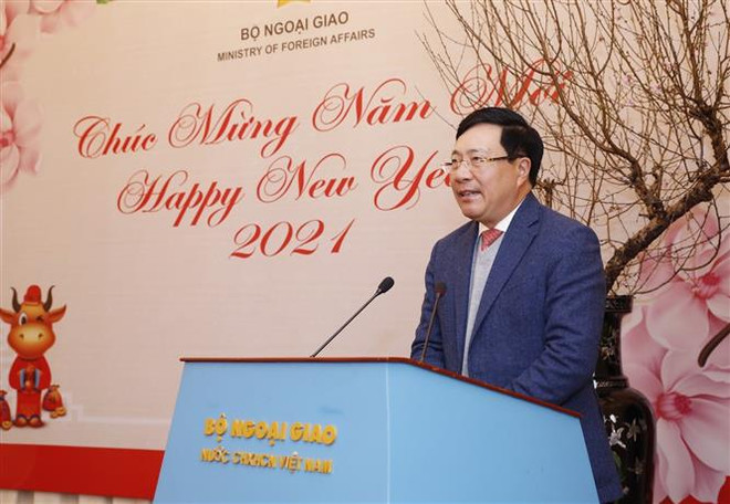 Ministerio vietnamita de Relaciones Exteriores logra resultado positivo pese a COVID-19 ảnh 1 Ministerio vietnamita de Relaciones Exteriores logra resultado positivo pese a COVID-19 ảnh 1