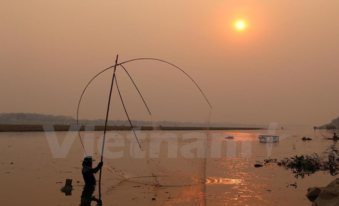 Desagüe desde río arriba no puede revertir salinización en Delta del Mekong ảnh 1