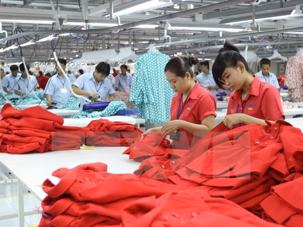 Empresas japonesas exhortan simplificar procedimientos de importación ảnh 1