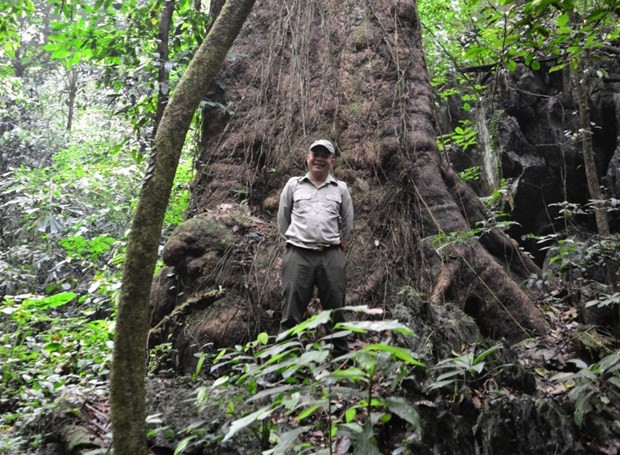 Iniciativa especial en parque nacional de Vietnam para traer animales 'a casa' ảnh 1 Iniciativa especial en parque nacional de Vietnam para traer animales 'a casa' ảnh 1