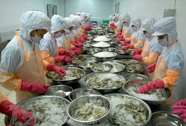 Pronostican panorama positivo para exportaciones vietnamitas de camarones en 2021 ảnh 2 Pronostican panorama positivo para exportaciones vietnamitas de camarones en 2021 ảnh 2