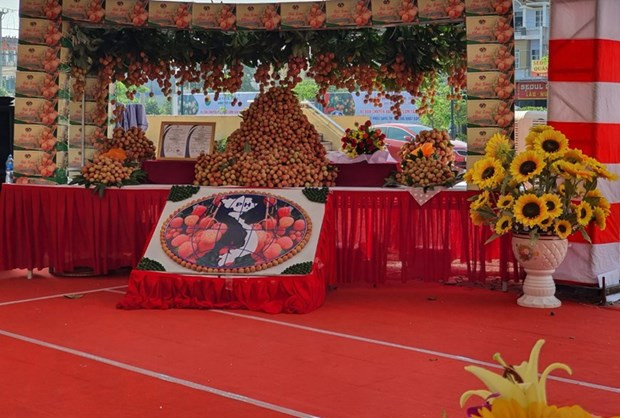 Lichis frescos de Tan Yen llegan a las tiendas de Japón ảnh 1