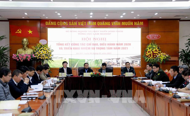 Exhortan en Vietnam fortalecer la protección forestal ảnh 1