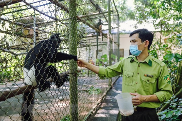 Iniciativa especial en parque nacional de Vietnam para traer animales 'a casa' ảnh 2 Iniciativa especial en parque nacional de Vietnam para traer animales 'a casa' ảnh 2