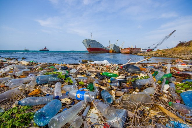 Vietnam: Jóvenes de ciudad de Da Nang protegen océano de desechos plásticos ảnh 1 Vietnam: Jóvenes de ciudad de Da Nang protegen océano de desechos plásticos ảnh 1