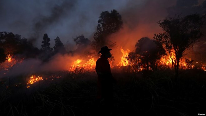 Detectan numerosos puntos de calor en Indonesia ảnh 1 Detectan numerosos puntos de calor en Indonesia ảnh 1