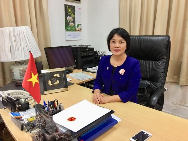 Relaciones entre Vietnam y Singapur marchan a buen ritmo, sostiene embajadora vietnamita ảnh 1