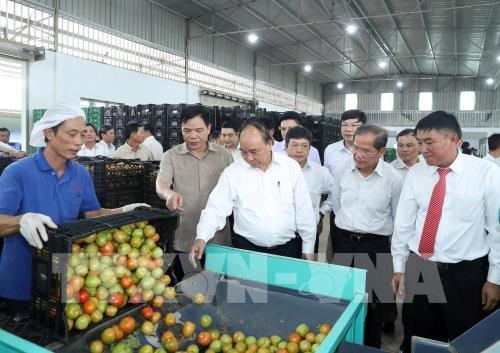 Premier vietnamita propone un modelo de desarrollo económico para Lam Dong ảnh 1 Premier vietnamita propone un modelo de desarrollo económico para Lam Dong ảnh 1