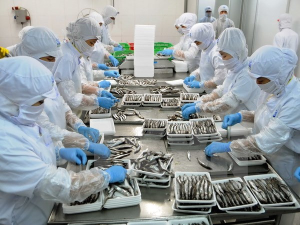 Honradas empresas vietnamitas con productos de alta calidad ảnh 1