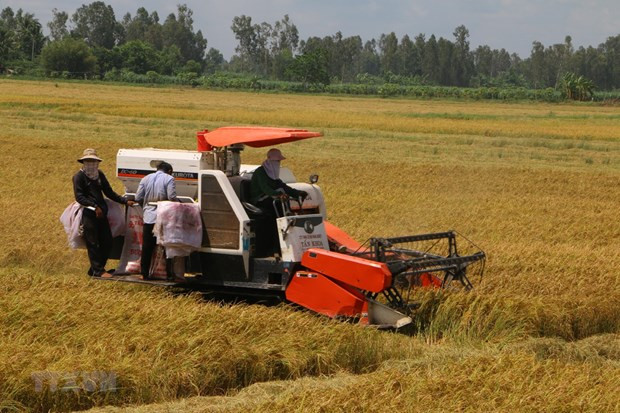 Pronostican dificultades en la modernización rural en Vietnam ảnh 1
