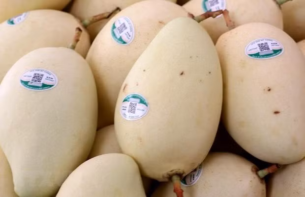 Frutas de Vietnam buscan terreno en el mercado global ảnh 1