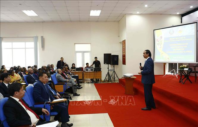 Cuadruplican intercambio comercial entre Vietnam-África-Medio Oriente en 11 años ảnh 1 Cuadruplican intercambio comercial entre Vietnam-África-Medio Oriente en 11 años ảnh 1