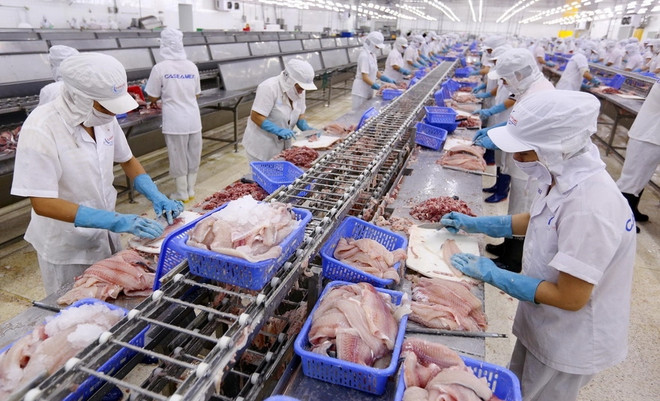 Vietnam lucha contra fraudes relacionados con el origen de los productos ảnh 1 Vietnam lucha contra fraudes relacionados con el origen de los productos ảnh 1