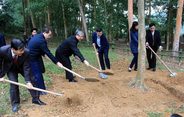 Lanzan en provincia vietnamita de Tuyen Quang festival de plantación de árboles ảnh 1 Lanzan en provincia vietnamita de Tuyen Quang festival de plantación de árboles ảnh 1
