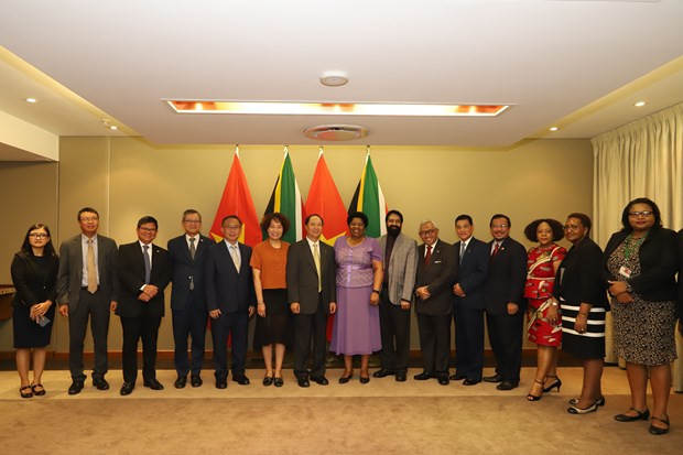 Considera Sudáfrica a Vietnam como uno de sus principales socios sudesteasiáticos ảnh 1