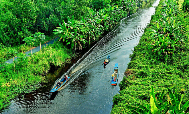 Proyecto millonario promueve ecoturismo en localidad survietnamita ảnh 1 Proyecto millonario promueve ecoturismo en localidad survietnamita ảnh 1