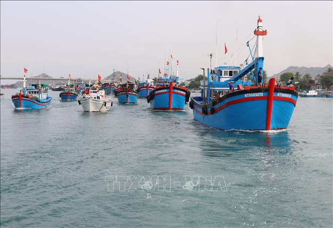 Vietnam por gestionar embarcaciones de pesca y rastrear origen de productos pesqueros ảnh 1 Vietnam por gestionar embarcaciones de pesca y rastrear origen de productos pesqueros ảnh 1
