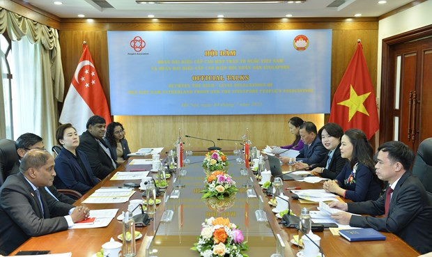 FPV y Asociación Popular de Singapur comparten experiencias ảnh 1 FPV y Asociación Popular de Singapur comparten experiencias ảnh 1