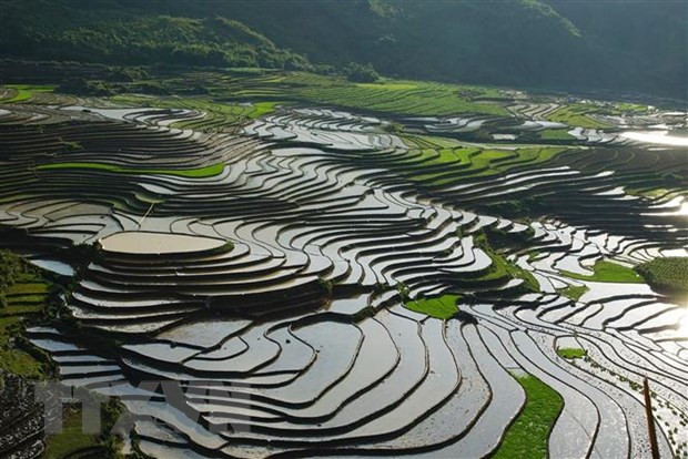 Prensa singapurense recomienda tres destinos vietnamitas para escapar del intenso calor ảnh 1