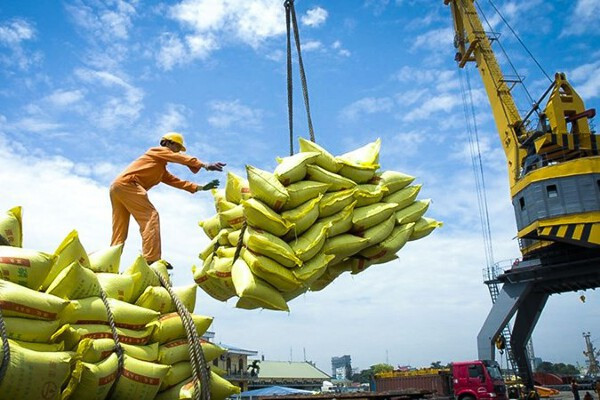 UE: Destino potencial para arroz de Vietnam ảnh 1
