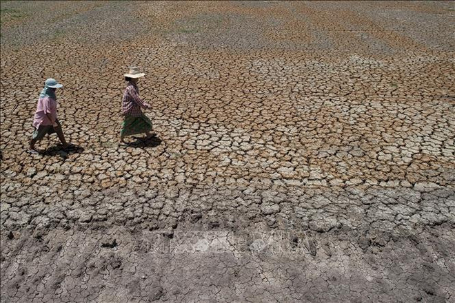 Tailandia registrará menos precipitaciones el próximo año debido a El Niño ảnh 1 Tailandia registrará menos precipitaciones el próximo año debido a El Niño ảnh 1